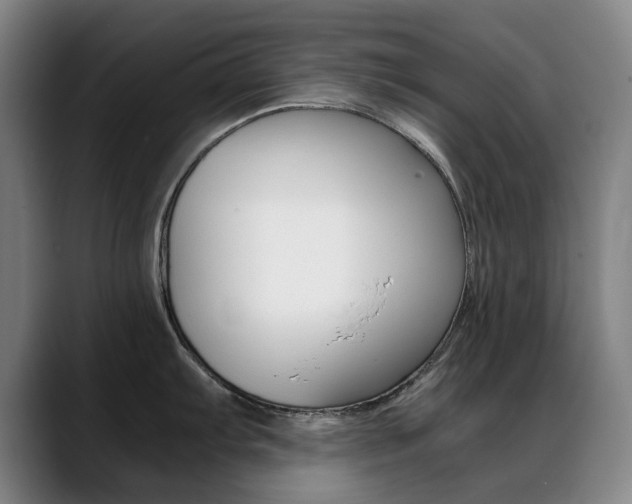 X0000089361103200706150818