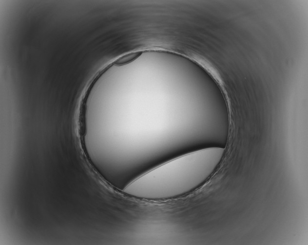 X0000089361104200706150818