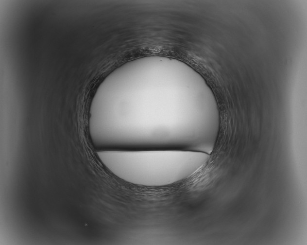 X0000089361105200706150817