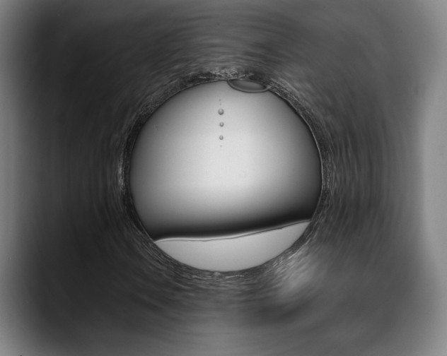 X0000089361106200706150817