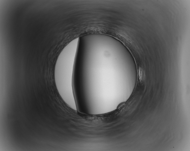 X0000089361107200706150817