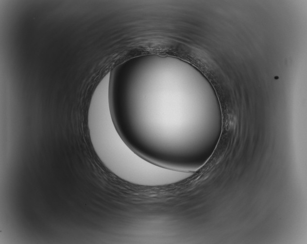 X0000089361108200706150817