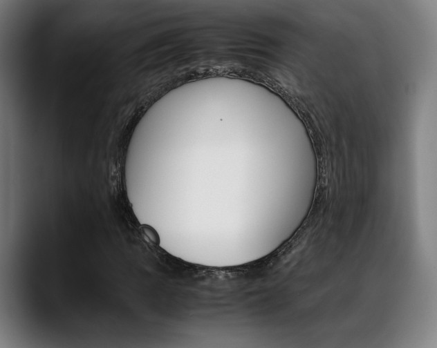 X0000089361109200706150817