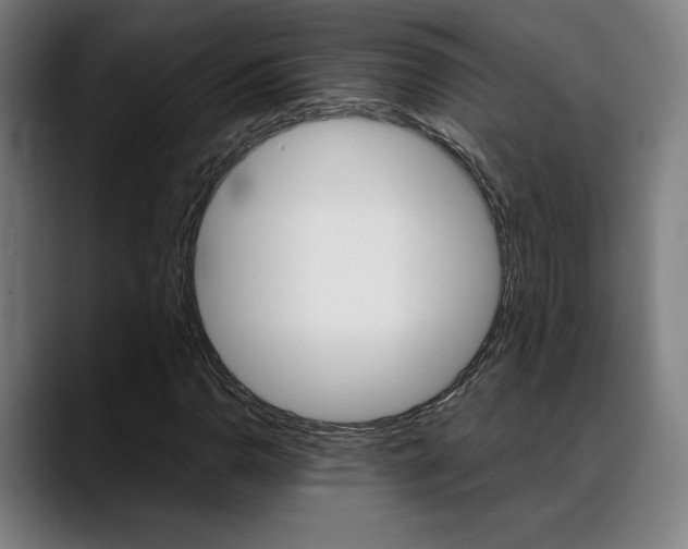 X0000089361110200706150817
