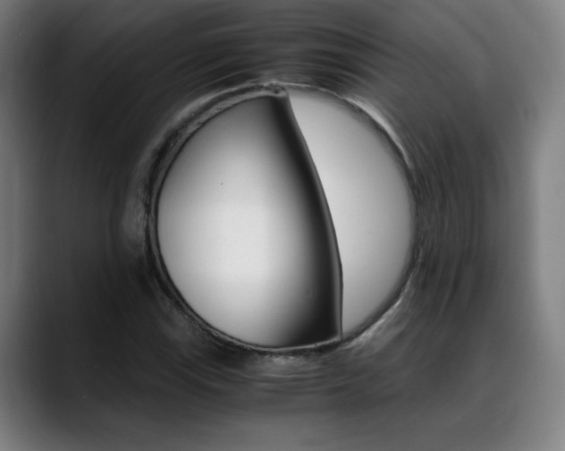 X0000089361115200706150817