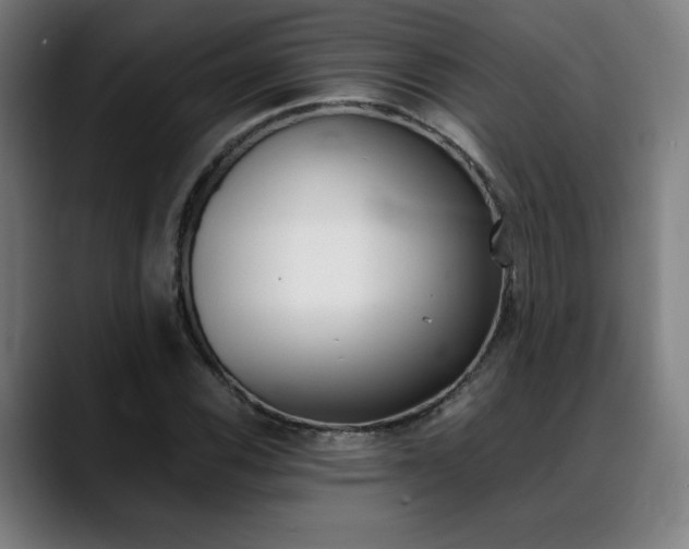 X0000089361116200706150817