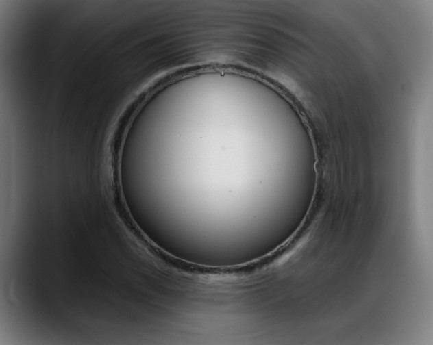 X0000089361118200706150818