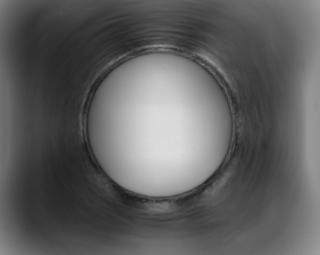 X0000089361121200706150818