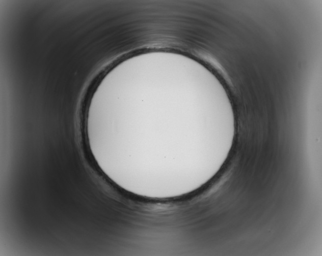 X0000089361122200706150818