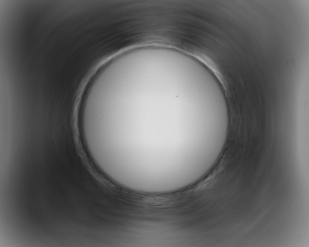 X0000089361128200706150818