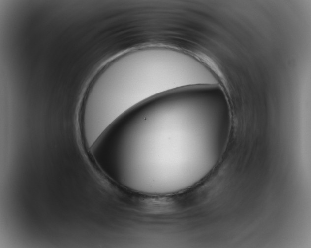 X0000089361133200706150818