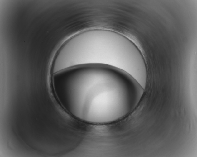X0000089361136200706150818