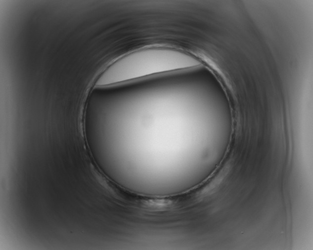 X0000089361137200706150818