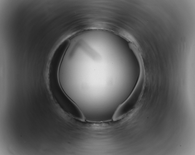 X0000089361138200706150818