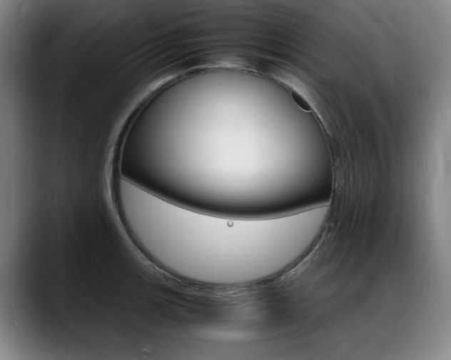 X0000089361139200706150818