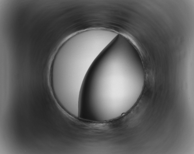 X0000089361143200706150818