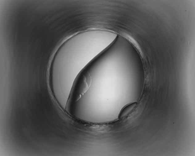 X0000089361146200706150818
