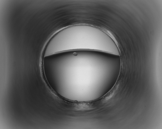 X0000089361149200706150818