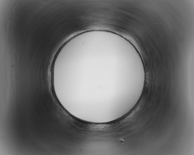 X0000089361150200706150818