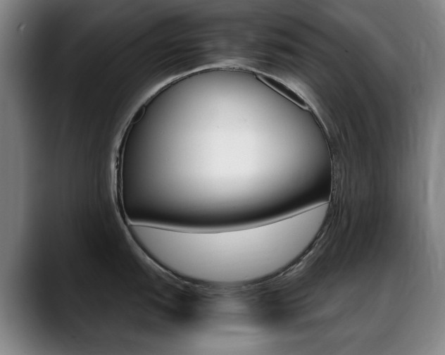X0000089361151200706150818