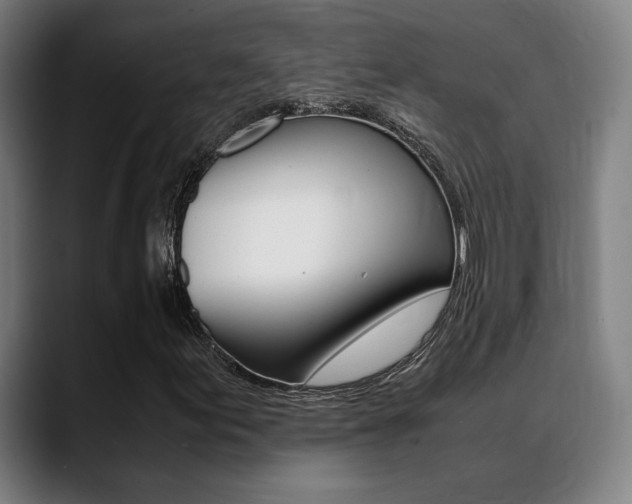 X0000089361155200706150817