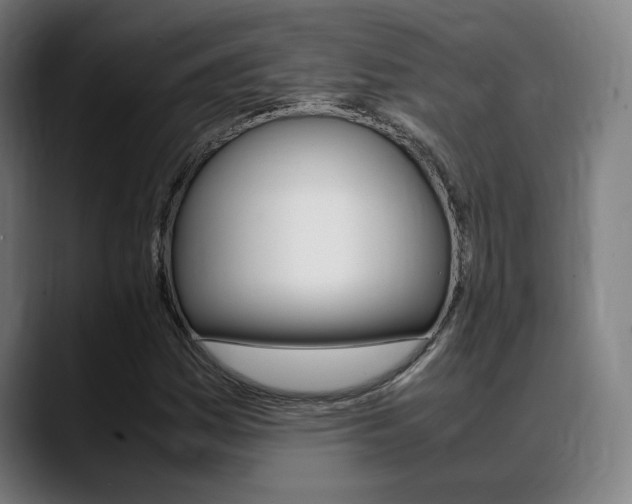 X0000089361161200706150817