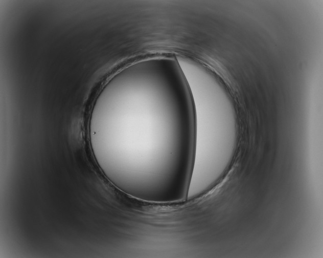 X0000089361164200706150817
