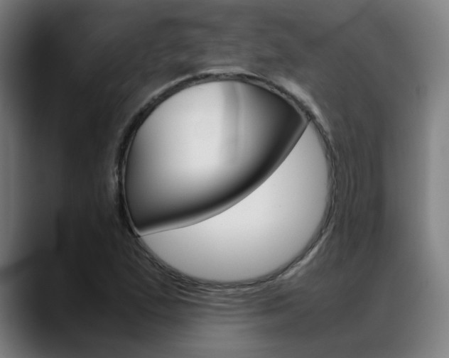 X0000089361167200706150817
