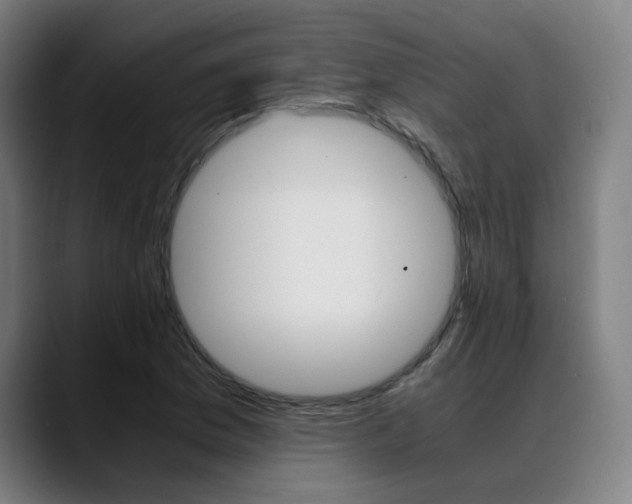 X0000089361169200706150817