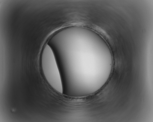 X0000089361174200706150817