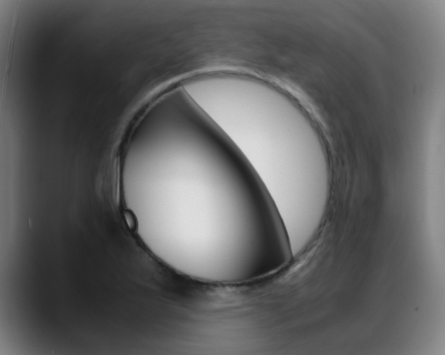 X0000089361175200706150817