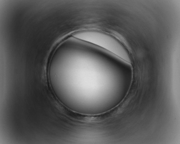 X0000089361176200706150817