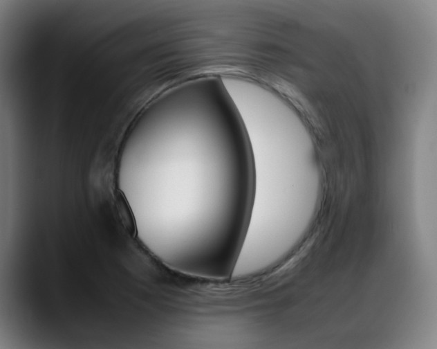 X0000089361177200706150817