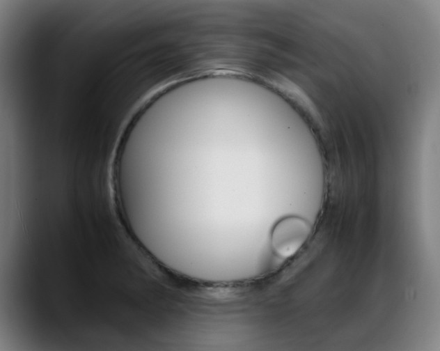X0000089361182200706150817