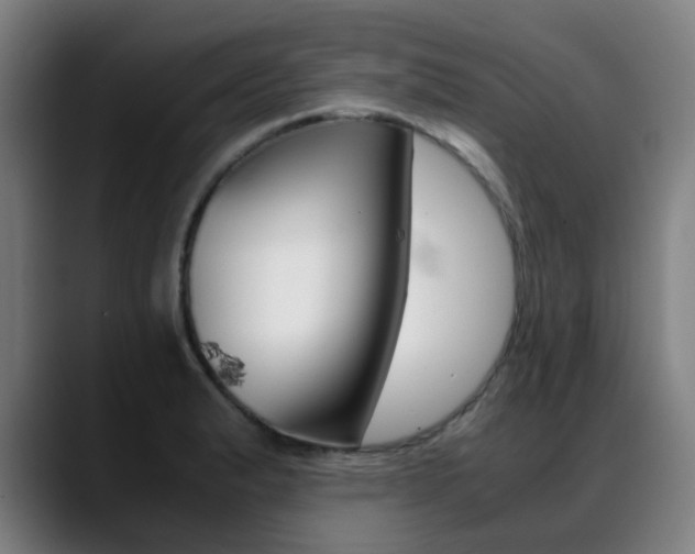X0000089361183200706150817
