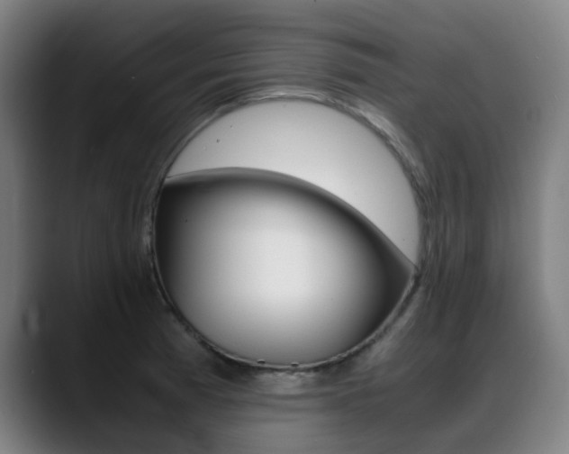 X0000089361185200706150817