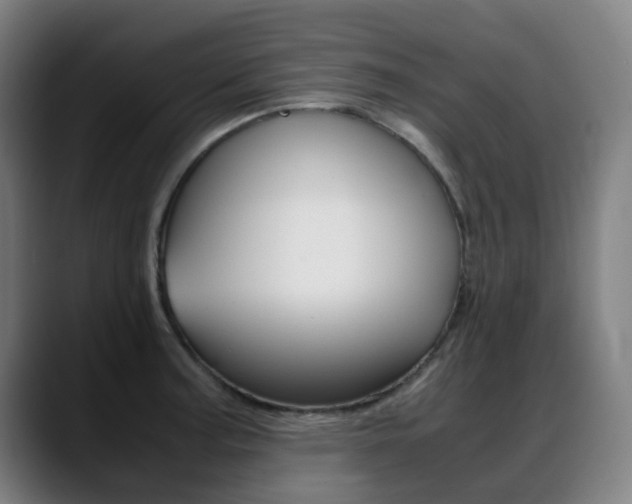 X0000089361187200706150817