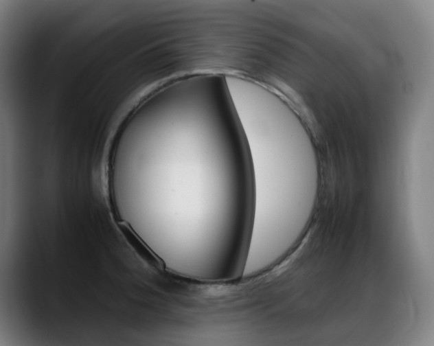 X0000089361188200706150817