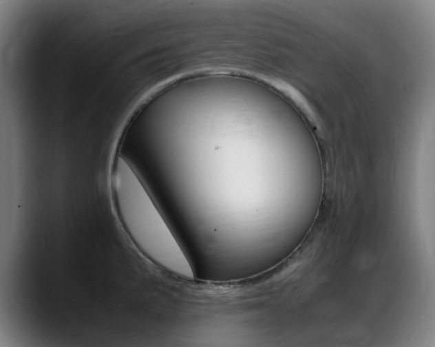 X0000089361191200706150817