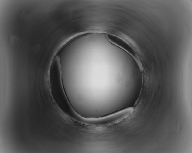 X0000089361192200706150817