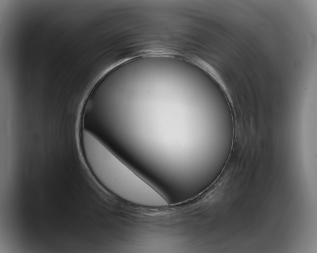 X0000089361195200706150817