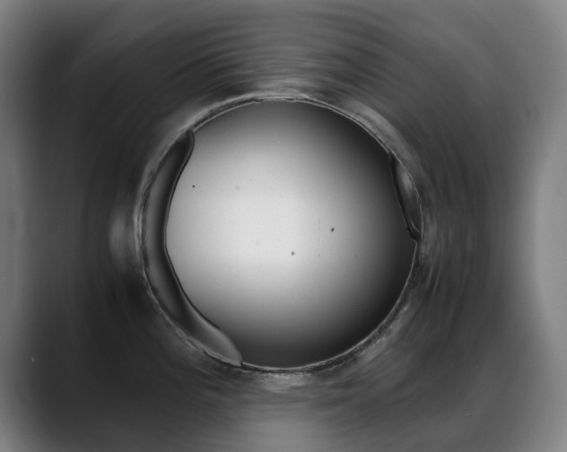 X0000089361196200706150817