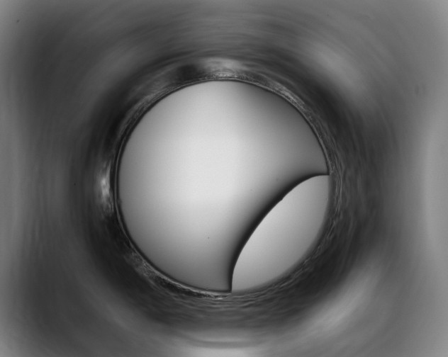 X0000089361198200706150817