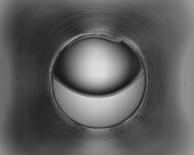 X0000089361200200706150817
