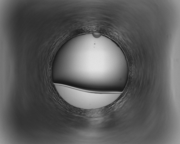 X0000089361201200706150816