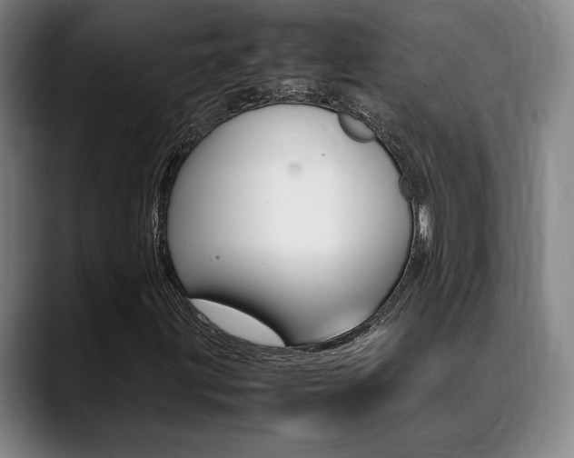 X0000089361203200706150816
