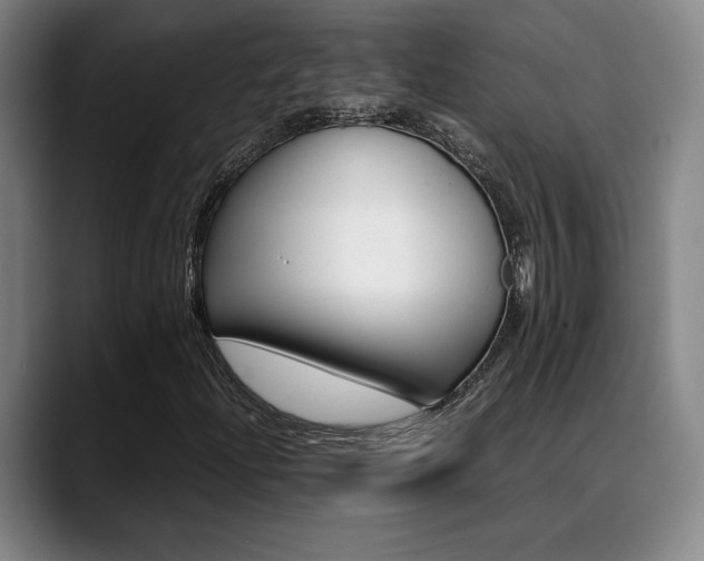 X0000089361204200706150816