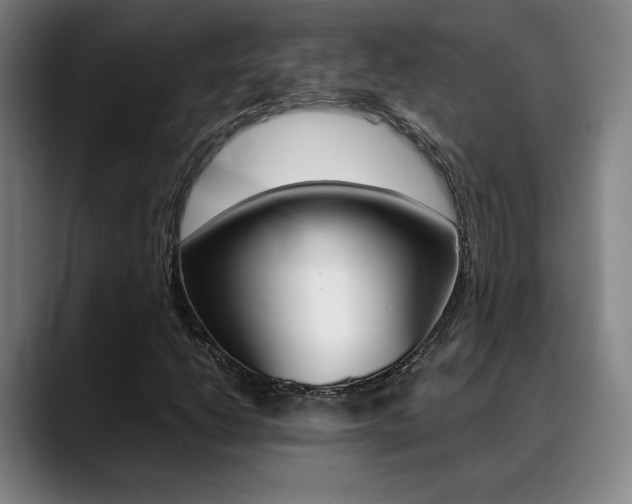 X0000089361206200706150816
