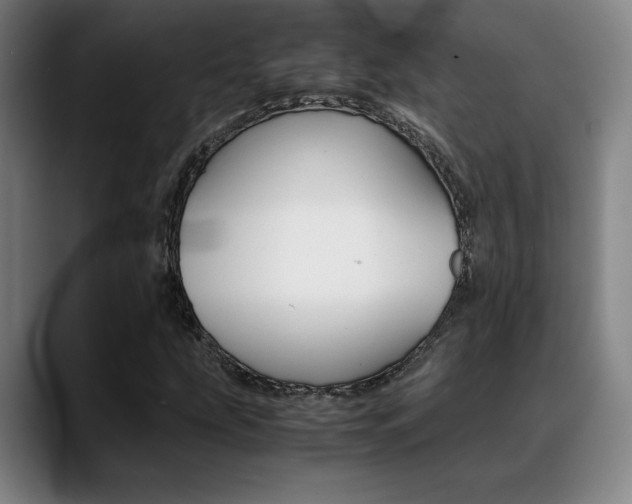 X0000089361207200706150816