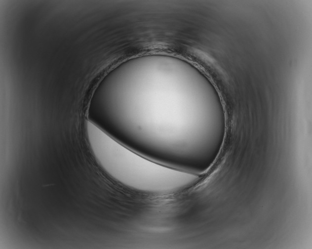 X0000089361209200706150816